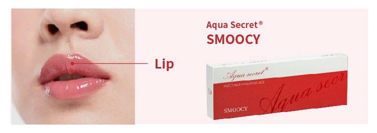 Aqua Secret Korea Ha Gel Dermal Filler Derm Deep Injection Hyaluronic Acid Serum Filler